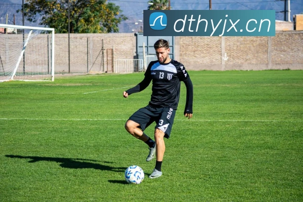 申花外援表现点评：关键进球助力球队积分攀升